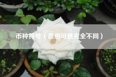 币种符号（意思可是完全不同）