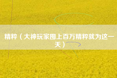 精粹(大神玩家囤上百万精粹就为这一天)