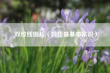 双绞线图片（网线最基本常识）