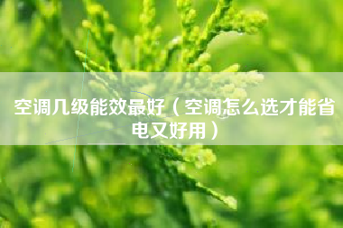 空调几级能效最好(空调怎么选才能省电又好用)