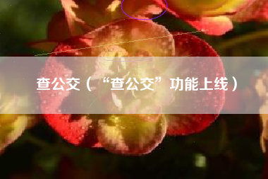 查公交（“查公交”功能上线）