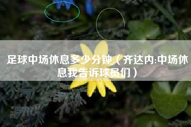 足球中场休息多少分钟（齐达内:中场休息我告诉球员们）