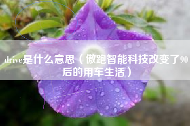 drive是什么意思（傲跑智能科技改变了90后的用车生活）