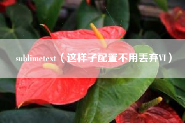 sublimetext（这样子配置不用丢弃VI）