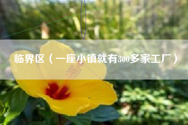 临界区(一座小镇就有300多家工厂)