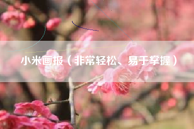 小米画报(非常轻松、易于掌握)