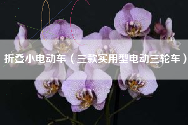 折叠小电动车(三款实用型电动三轮车)