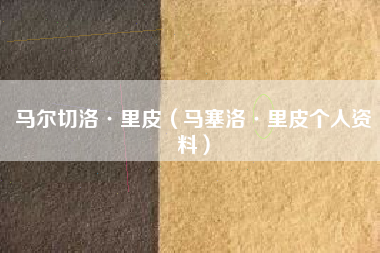 马尔切洛·里皮（马塞洛·里皮个人资料）