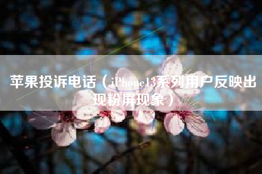 苹果投诉电话（iPhone13系列用户反映出现粉屏现象）