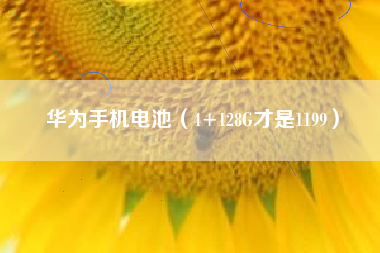 华为手机电池（4+128G才是1199）