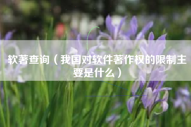 软著查询(我国对软件著作权的限制主要是什么)
