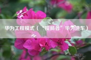 华为工程模式（“搅局者”华为造车）