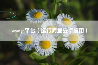 orange平台（运行海量安卓应用）