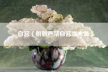 自宫(明朝严禁自宫当太监)