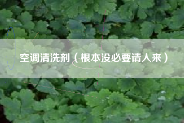 空调清洗剂(根本没必要请人来)