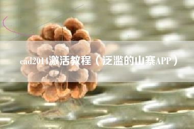 cad2014激活教程(泛滥的山寨APP)