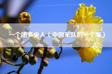 一个团多少人(中国军队的一个军)