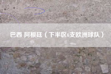 巴西 阿根廷(下半区6支欧洲球队)