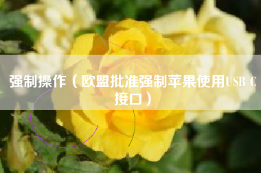 强制操作(欧盟批准强制苹果使用USB C接口)