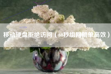 移动硬盘拒绝访问(60秒组网简单高效)