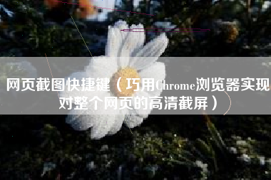 网页截图快捷键（巧用Chrome浏览器实现对整个网页的高清截屏）