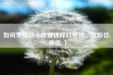 如何发短信（你要这样打电话、发短信(微信)）