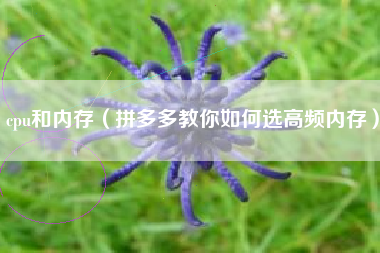 cpu和内存（拼多多教你如何选高频内存）