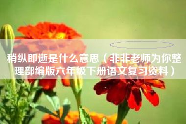 稍纵即逝是什么意思(非非老师为你整理部编版六年级下册语文复习资料)