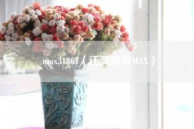 max31865（还买啥宋MAX）