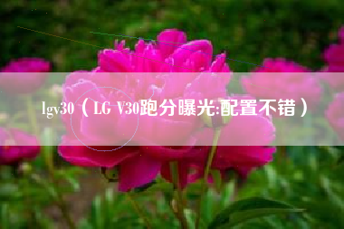 lgv30（LG V30跑分曝光:配置不错）