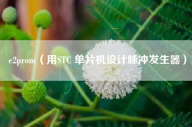 e2prom（用STC 单片机设计脉冲发生器）