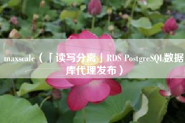 maxscale（「读写分离」RDS PostgreSQL数据库代理发布）