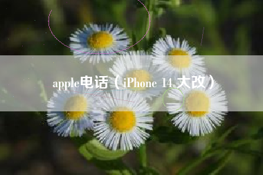 apple电话（iPhone 14 大改）