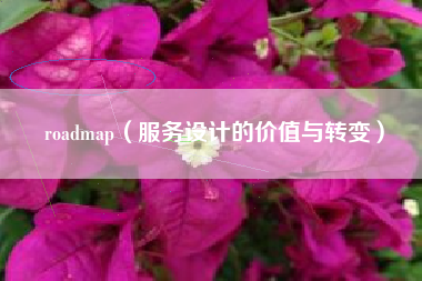 roadmap(服务设计的价值与转变)