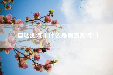 冒烟测试(什么是黑盒测试?)