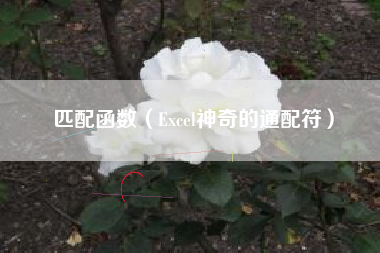 匹配函数（Excel神奇的通配符）