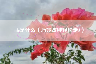 adc是什么（巧妙改键轻松走A）