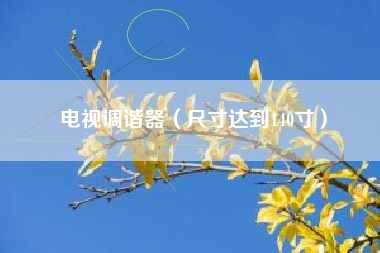 电视调谐器（尺寸达到140寸）