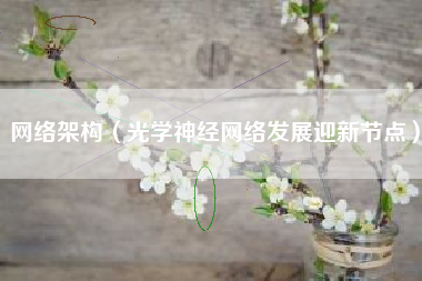 网络架构(光学神经网络发展迎新节点)