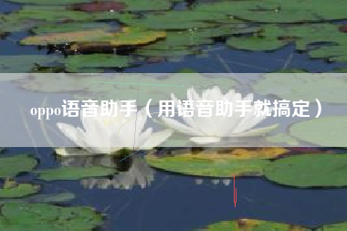 oppo语音助手(用语音助手就搞定)
