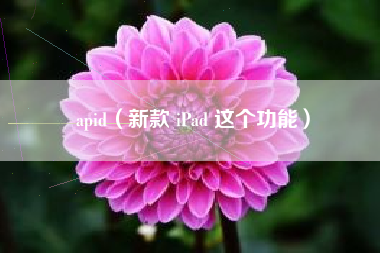 apid(新款 iPad 这个功能)