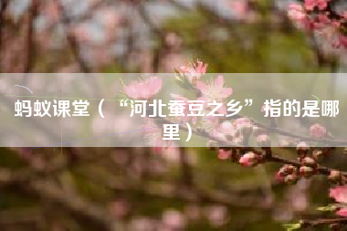 蚂蚁课堂(“河北蚕豆之乡”指的是哪里)