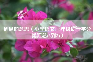 栖息的意思（小学语文1-6年级同音字分类汇总(A到Z)）