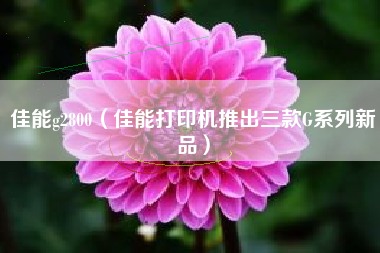 佳能g2800（佳能打印机推出三款G系列新品）