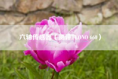 六轴传感器(测评TUONO 660)