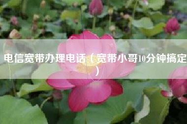 电信宽带办理电话（宽带小哥10分钟搞定）