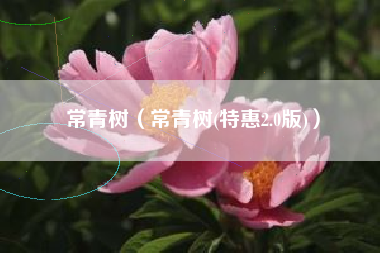 常青树(常青树(特惠2.0版))