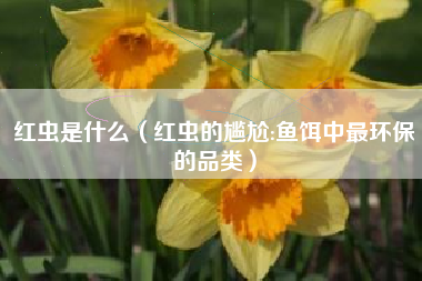 红虫是什么(红虫的尴尬:鱼饵中最环保的品类)