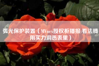 弧光保护装置（MVnex授权柜播报:看法腾用实力洞悉表里）