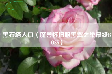 详细阅读:黑石塔入口(魔兽怀旧服黑翼之巢最终BOSS) 黑石塔入口(魔兽怀旧服黑翼之巢最终BOSS)